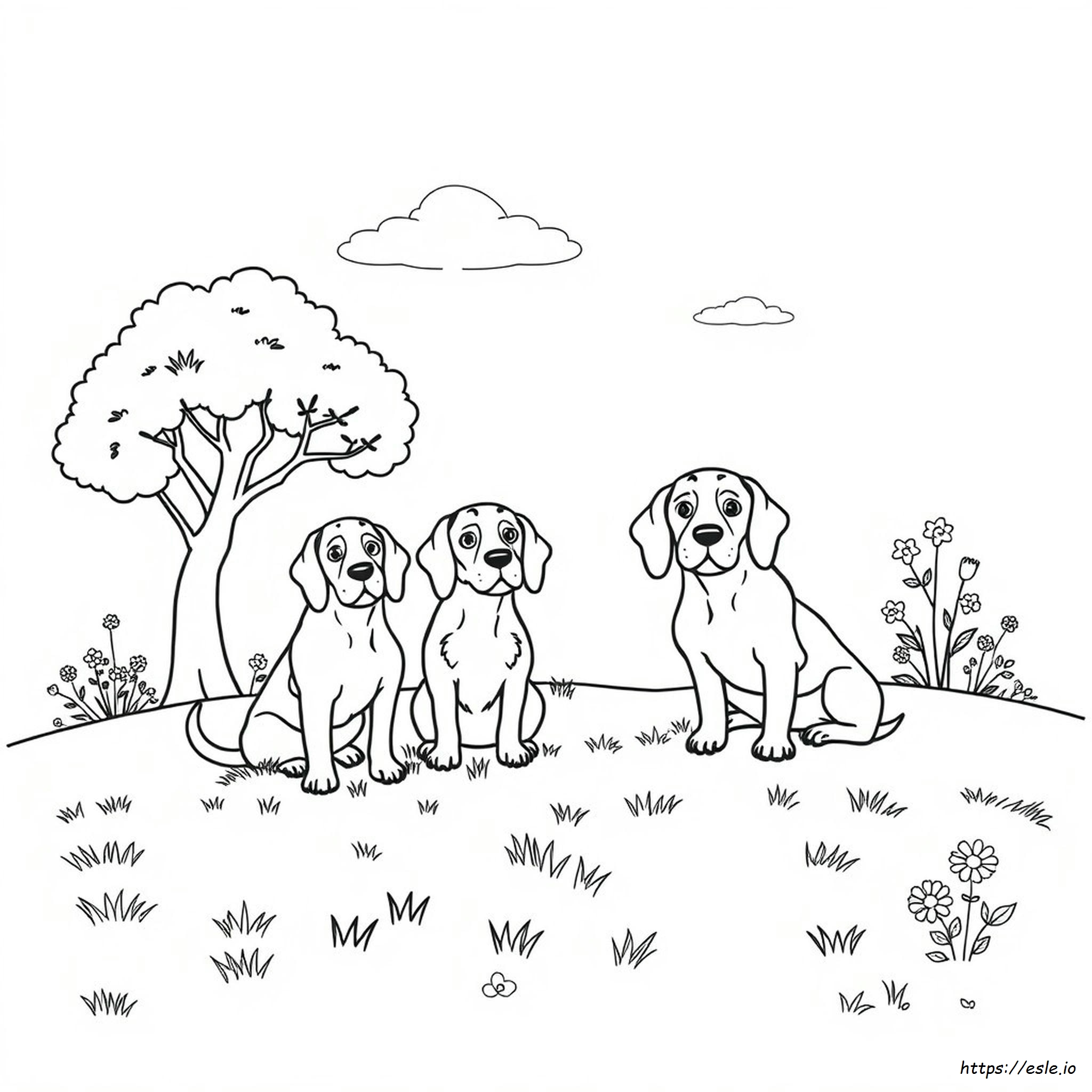 Beagle Da Colorare E Stampare