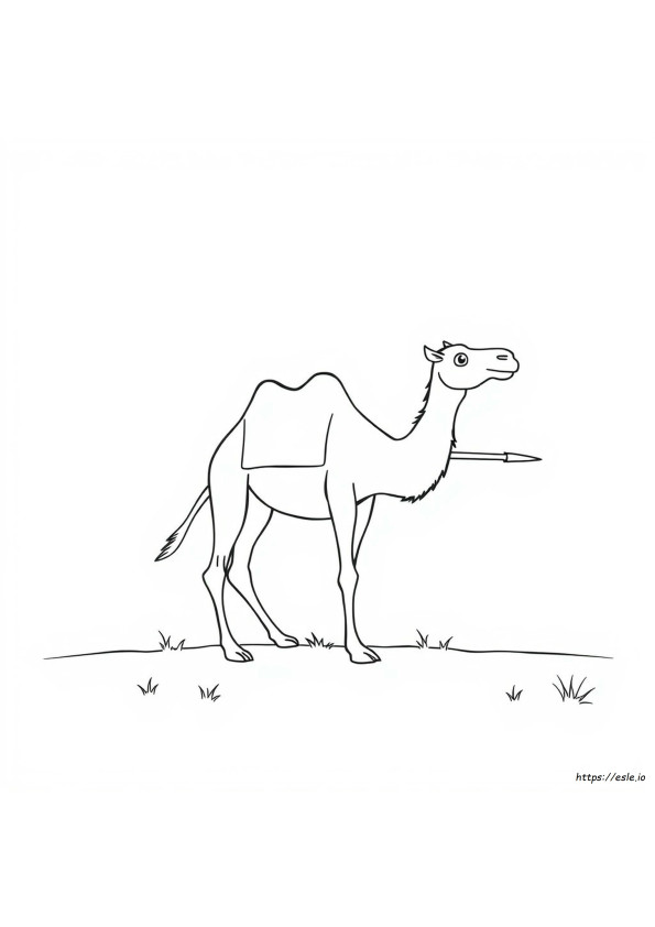 Unta Melalui Mata Jarum Gambar Mewarnai