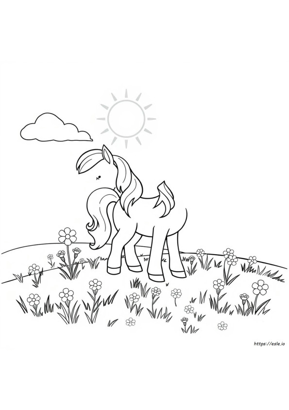 Kuda Poni Kecil Untuk Mewarnai