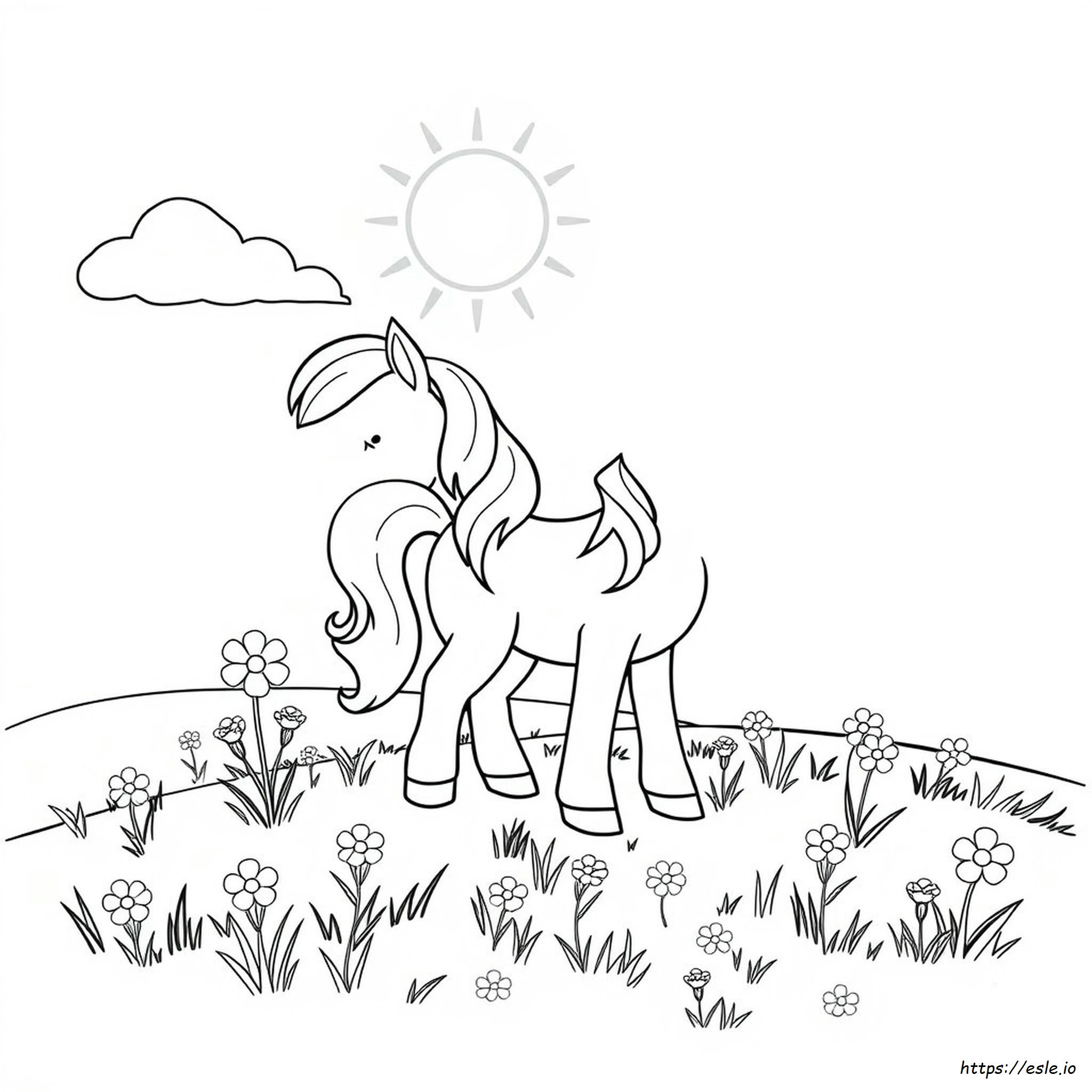 Pony Da Colorare