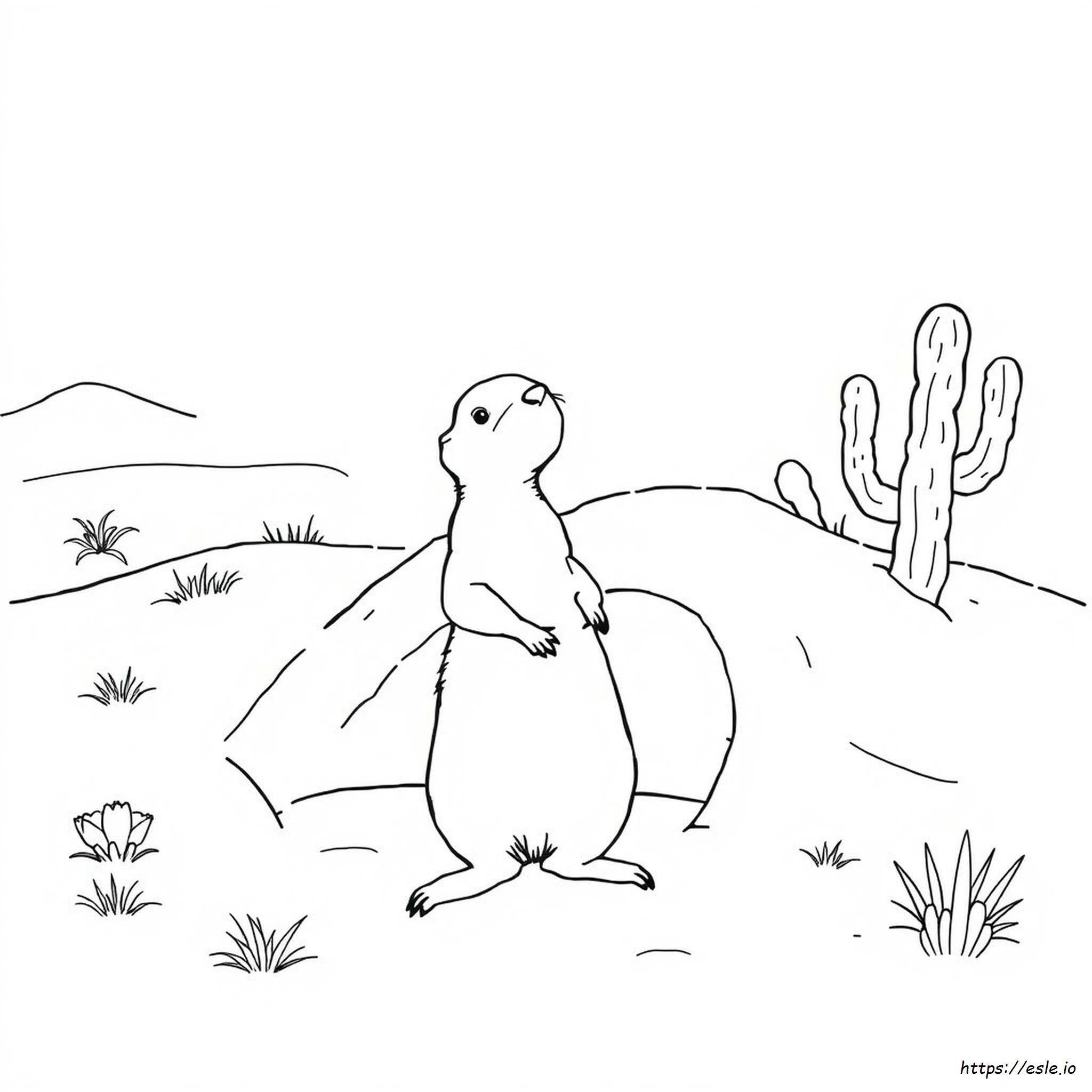 Prairie Dog Coloring Sheet