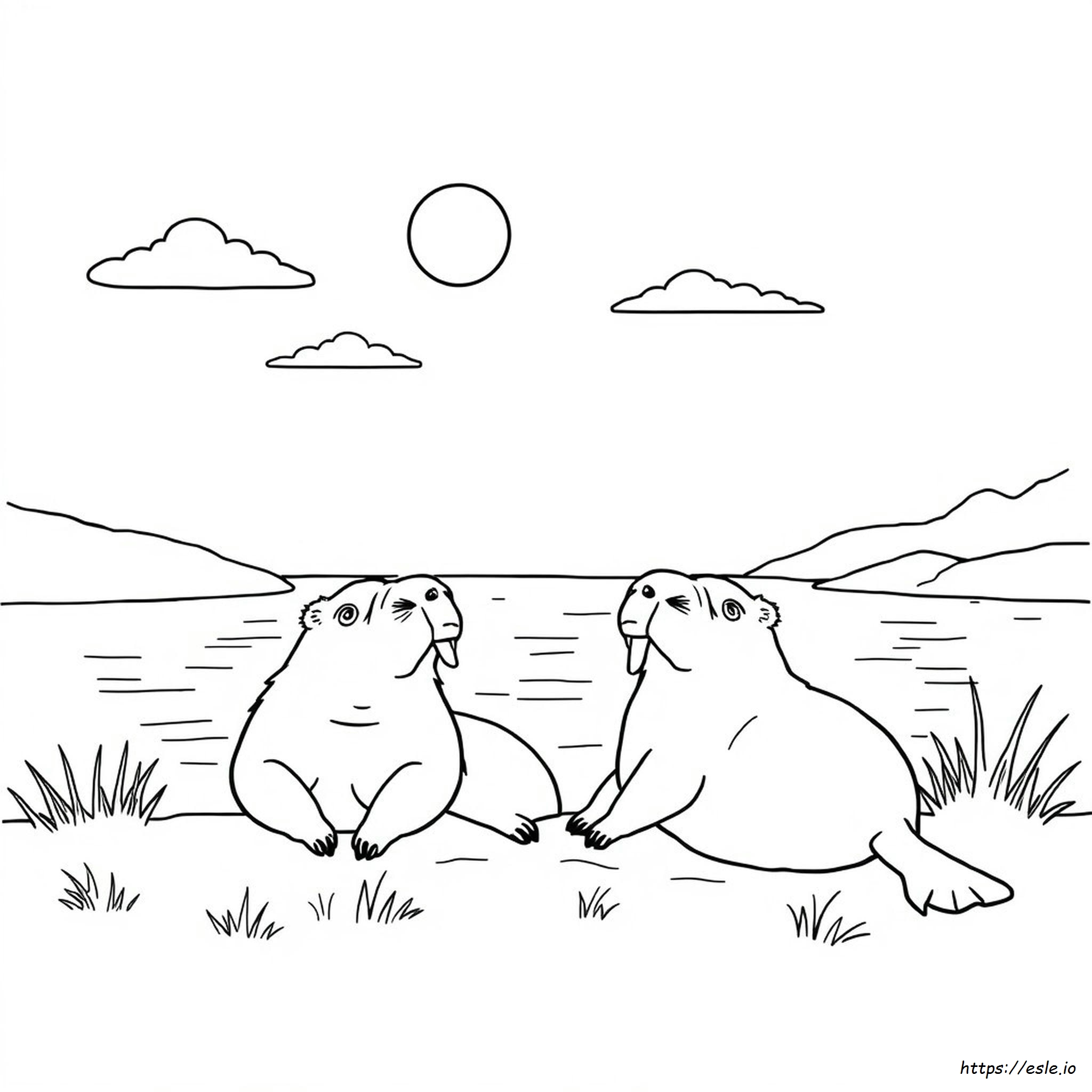 Capivara Para Colorir Grátis