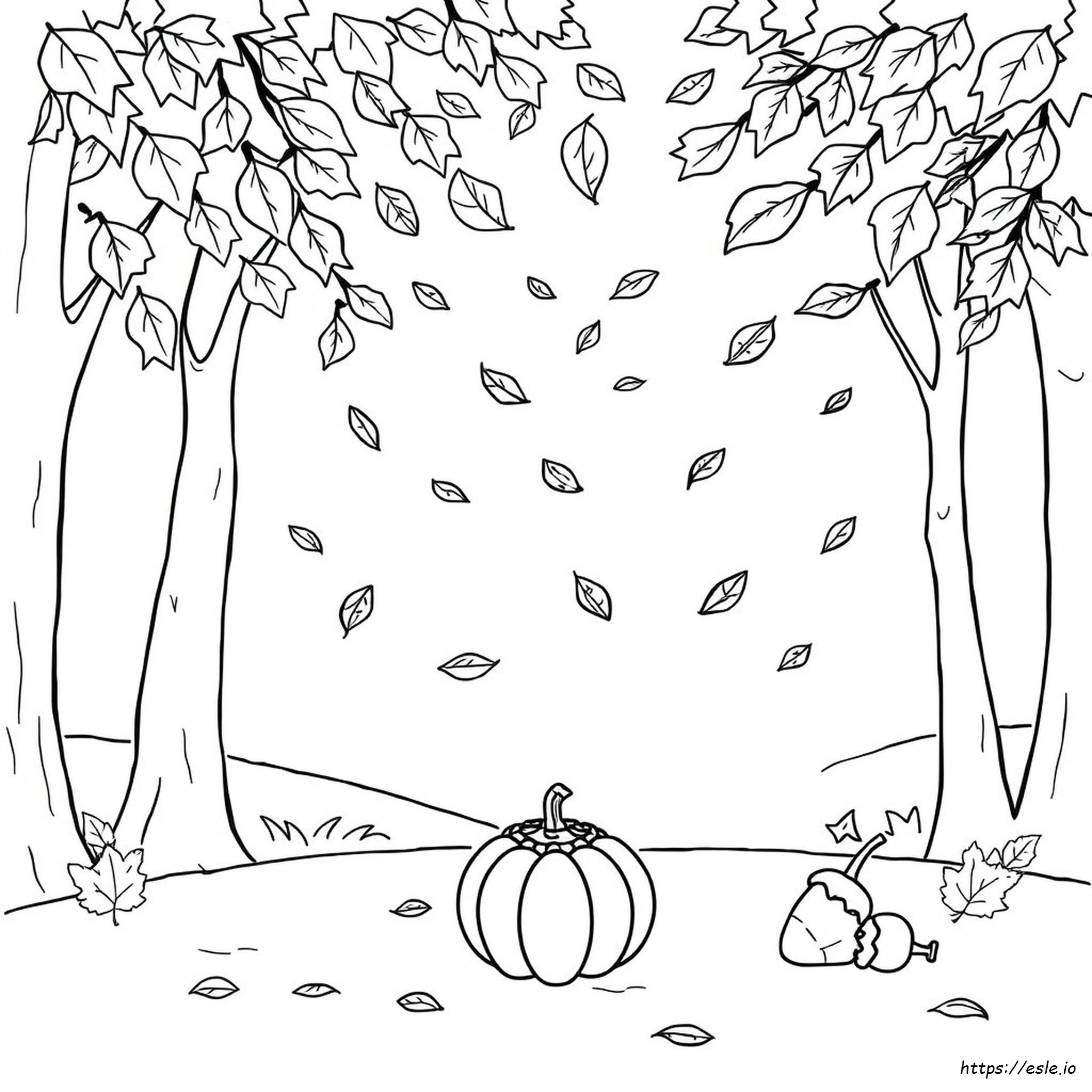 Disegni D'autunno Da Colorare Per Bambini Di Seconda Elementare
