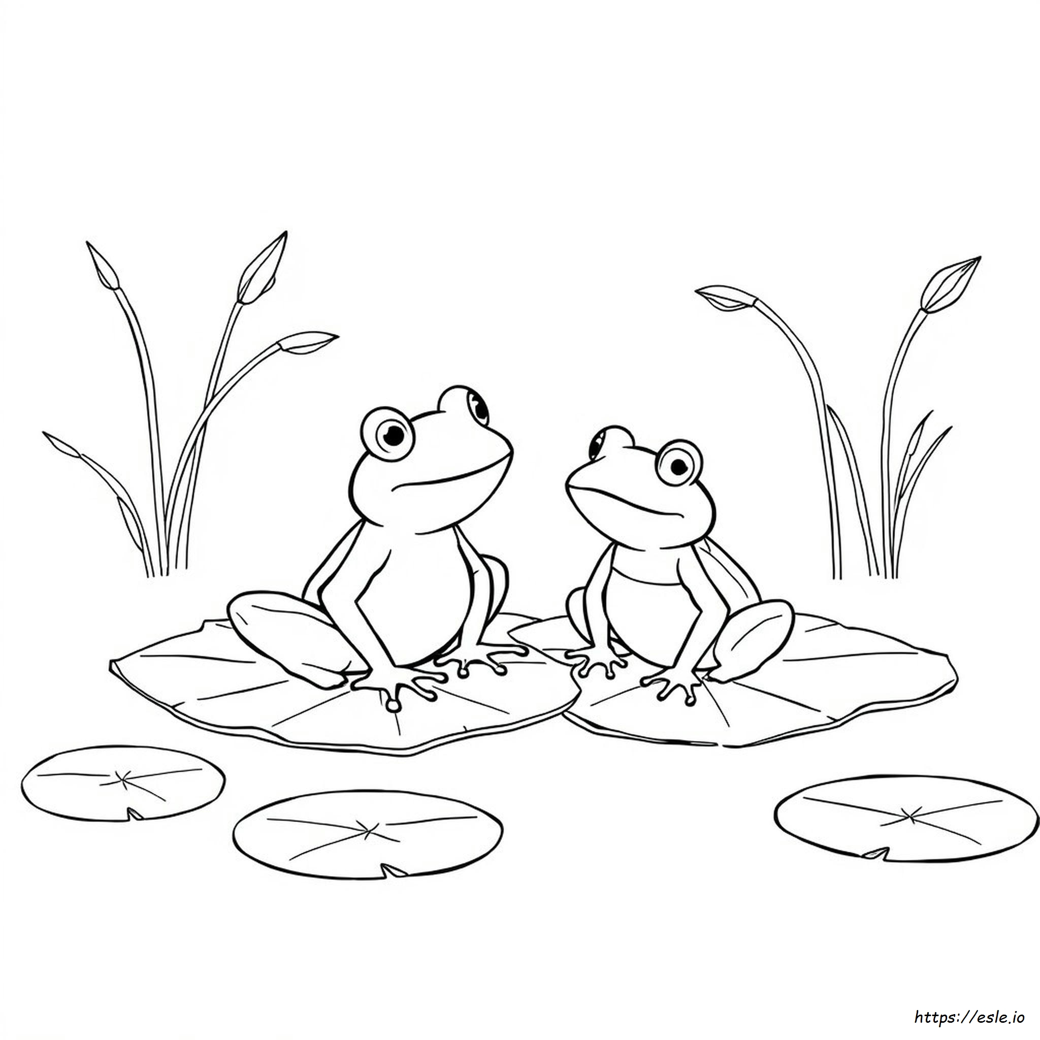 Sapo E Rã Para Colorir