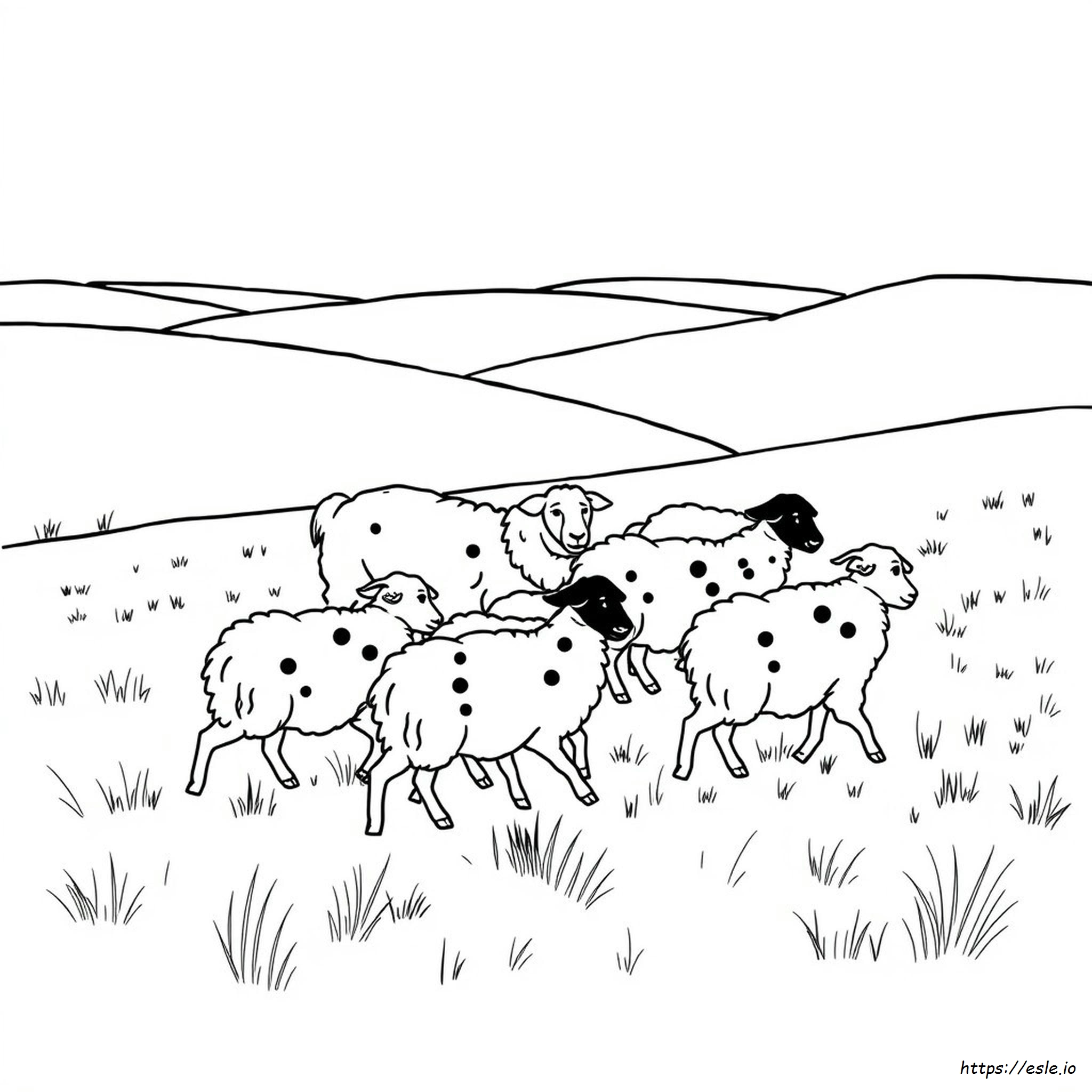 Sheep Dog Coloring Page