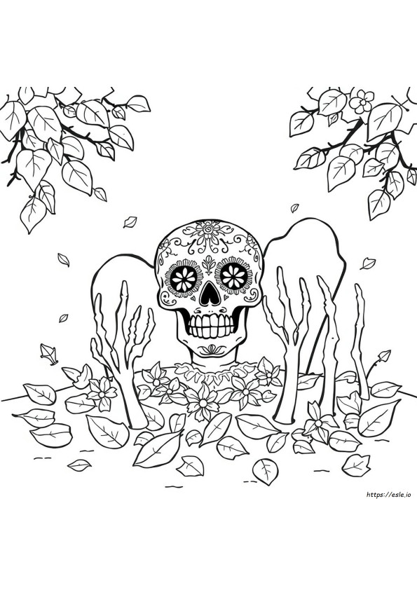 Suiker Schedel Kleuren Doodle Dode Woorden Kleurplaat