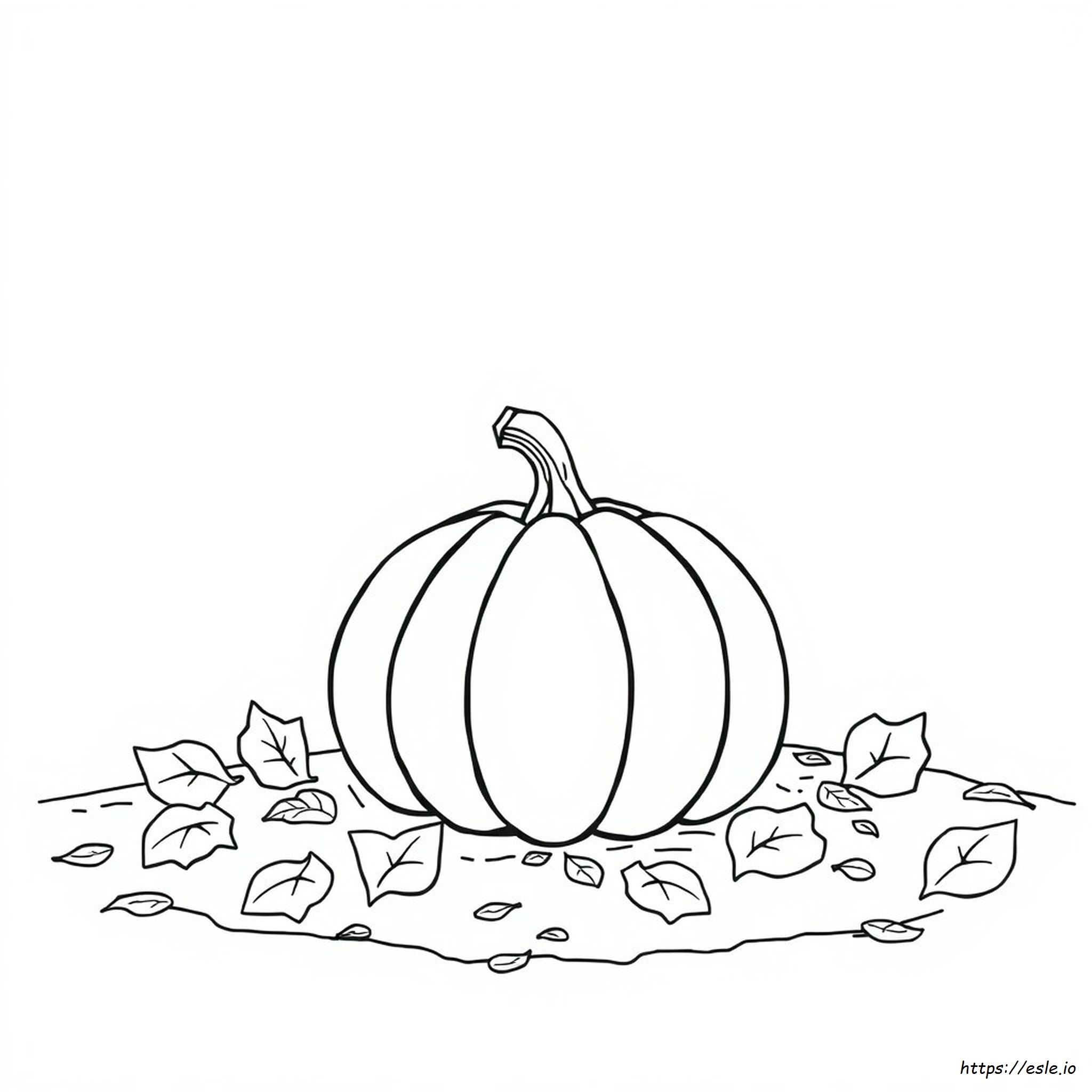 Pumpkin Images For Colouring