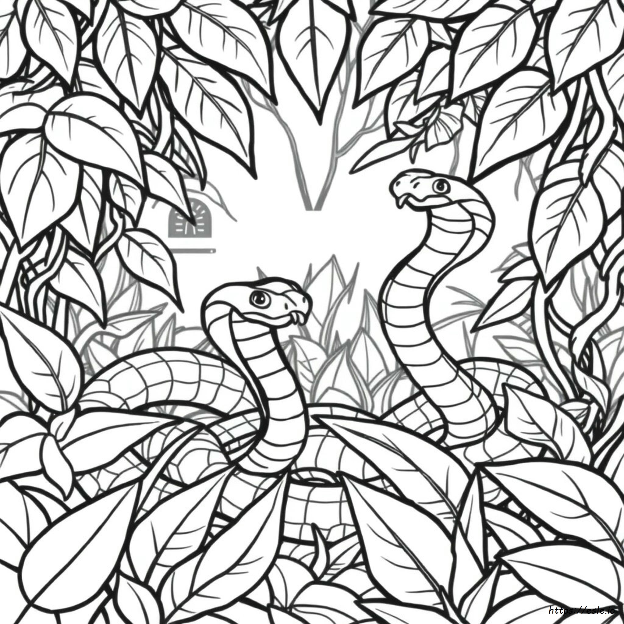 Cobra Snake Coloring Pages