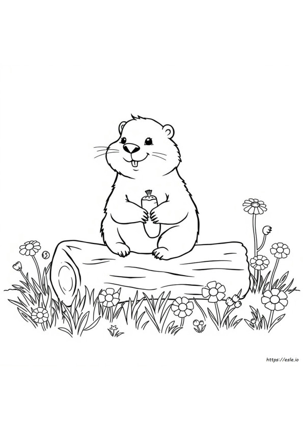 Groundhog Coloring Page Free