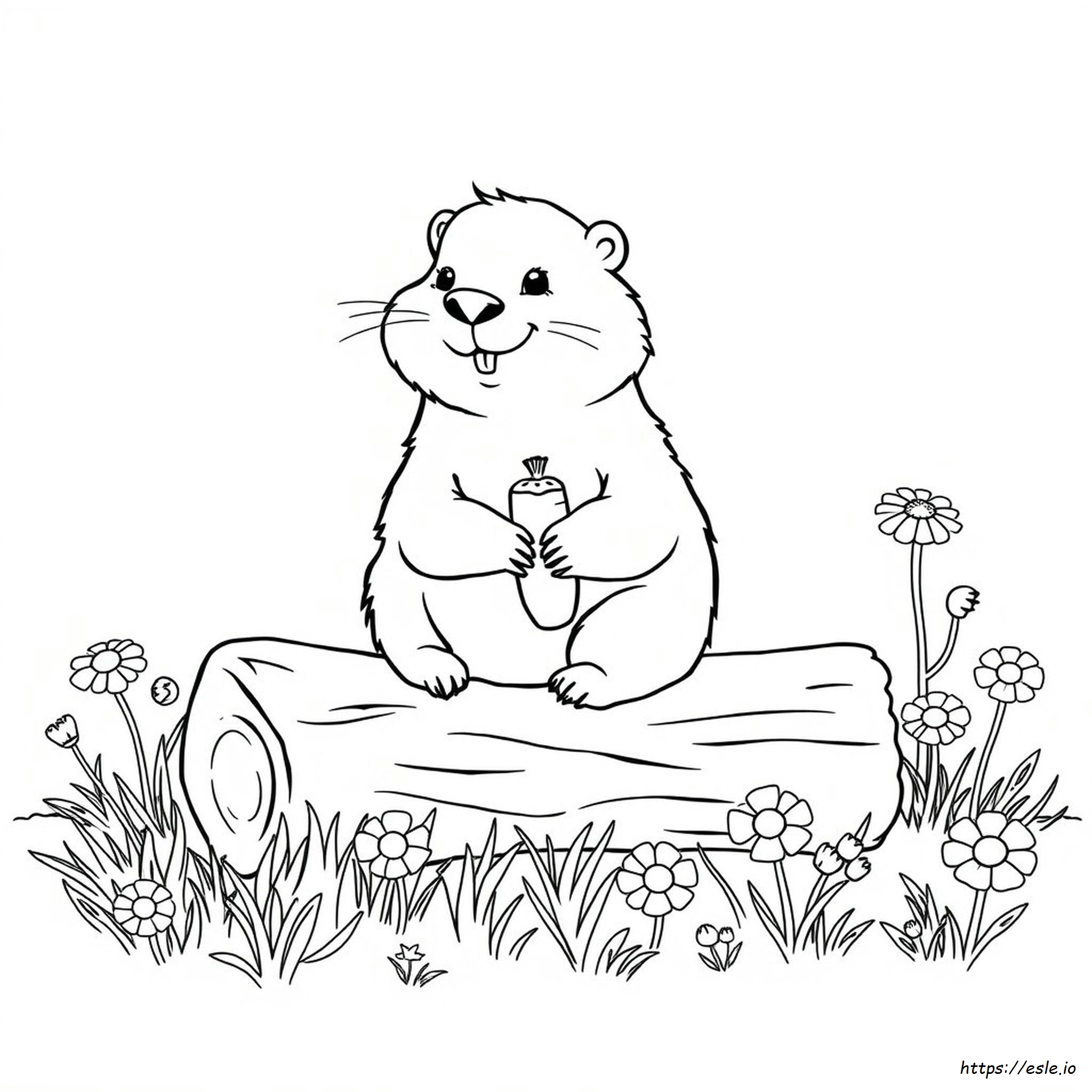 Groundhog Coloring Page Free