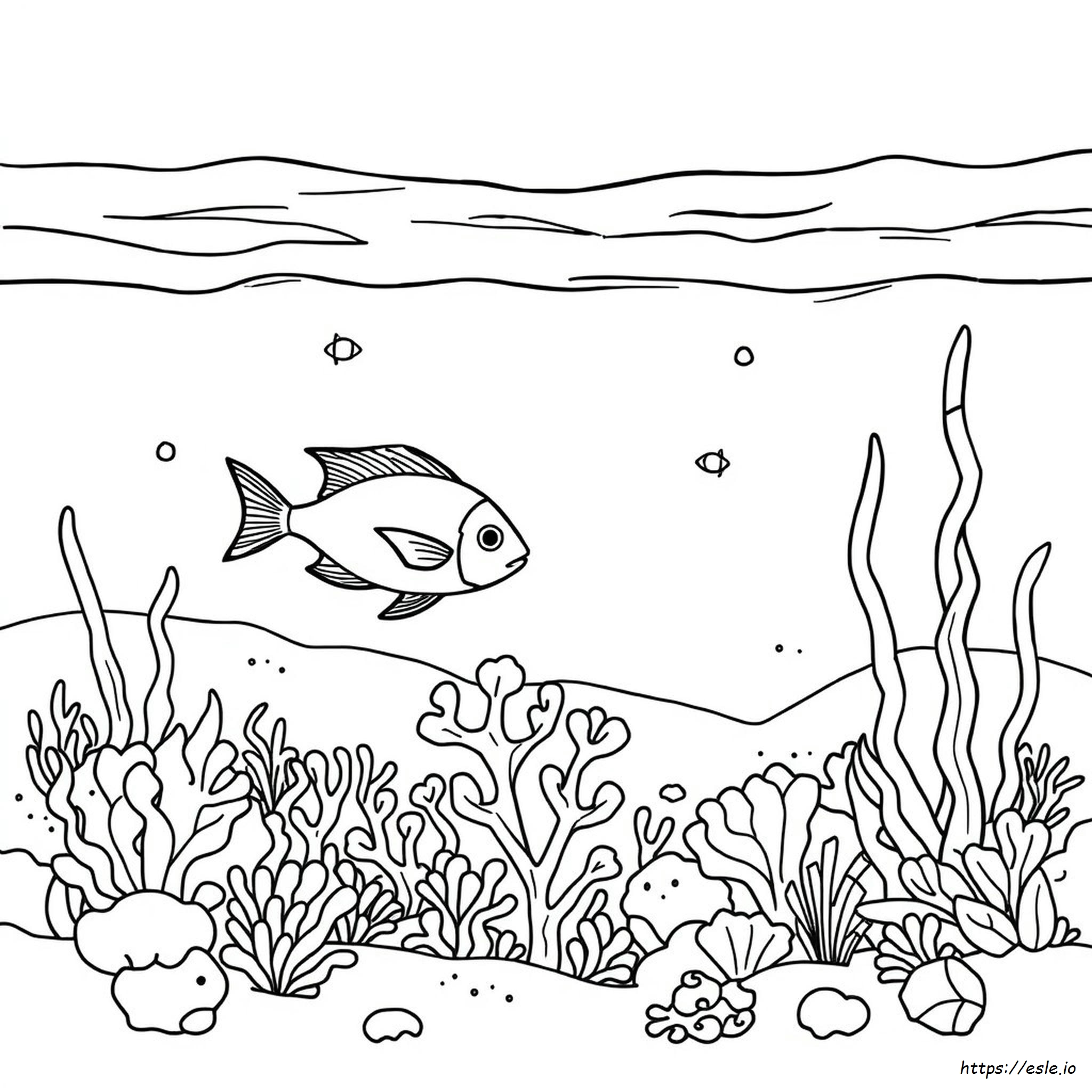 Free Printable Ocean Themed Coloring Pages