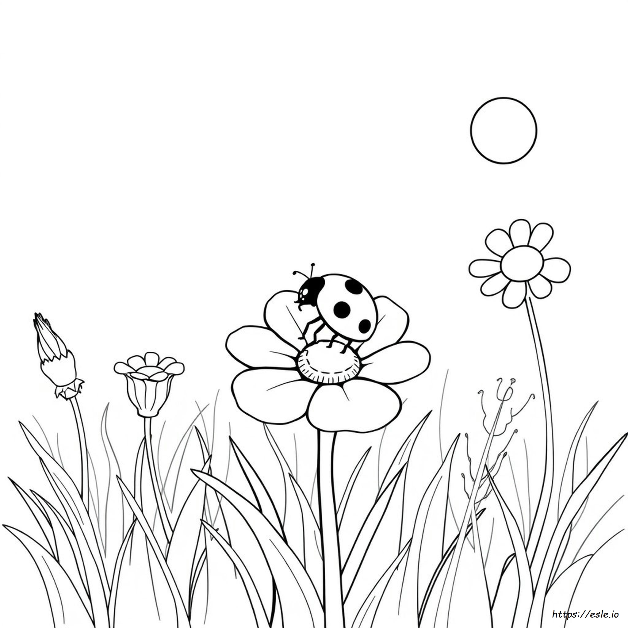 Free Printable Coloring Pages Of Ladybugs