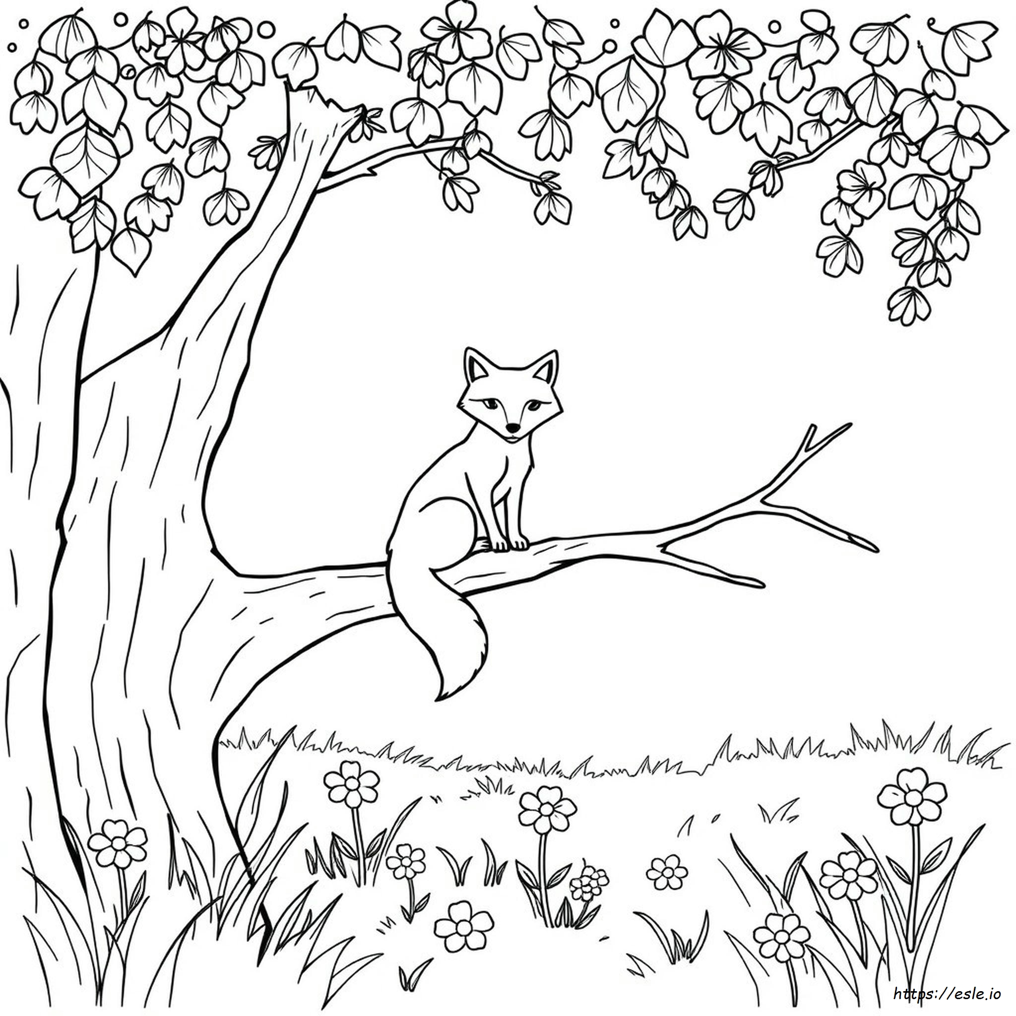 Animal Jam Fuchs Ausmalbilder