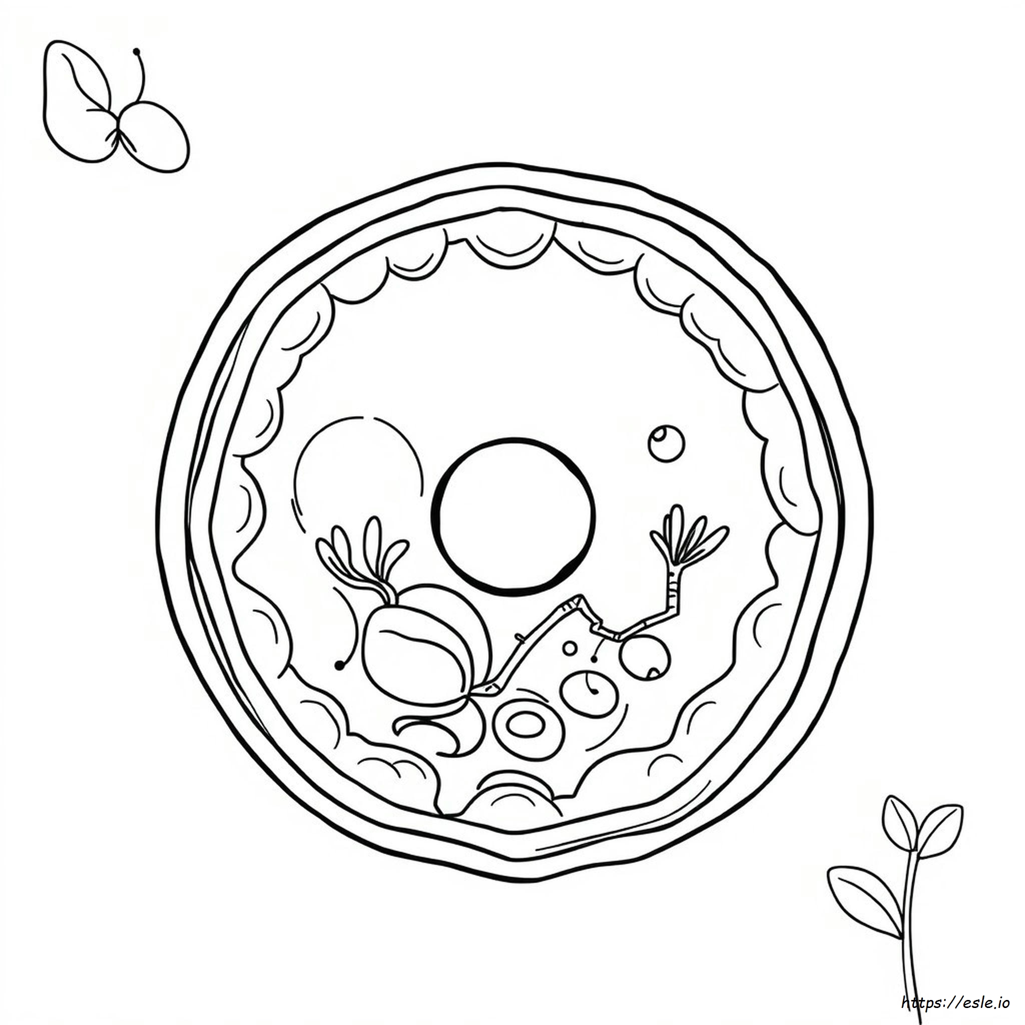 Pagina Da Colorare Cellula Vegetale