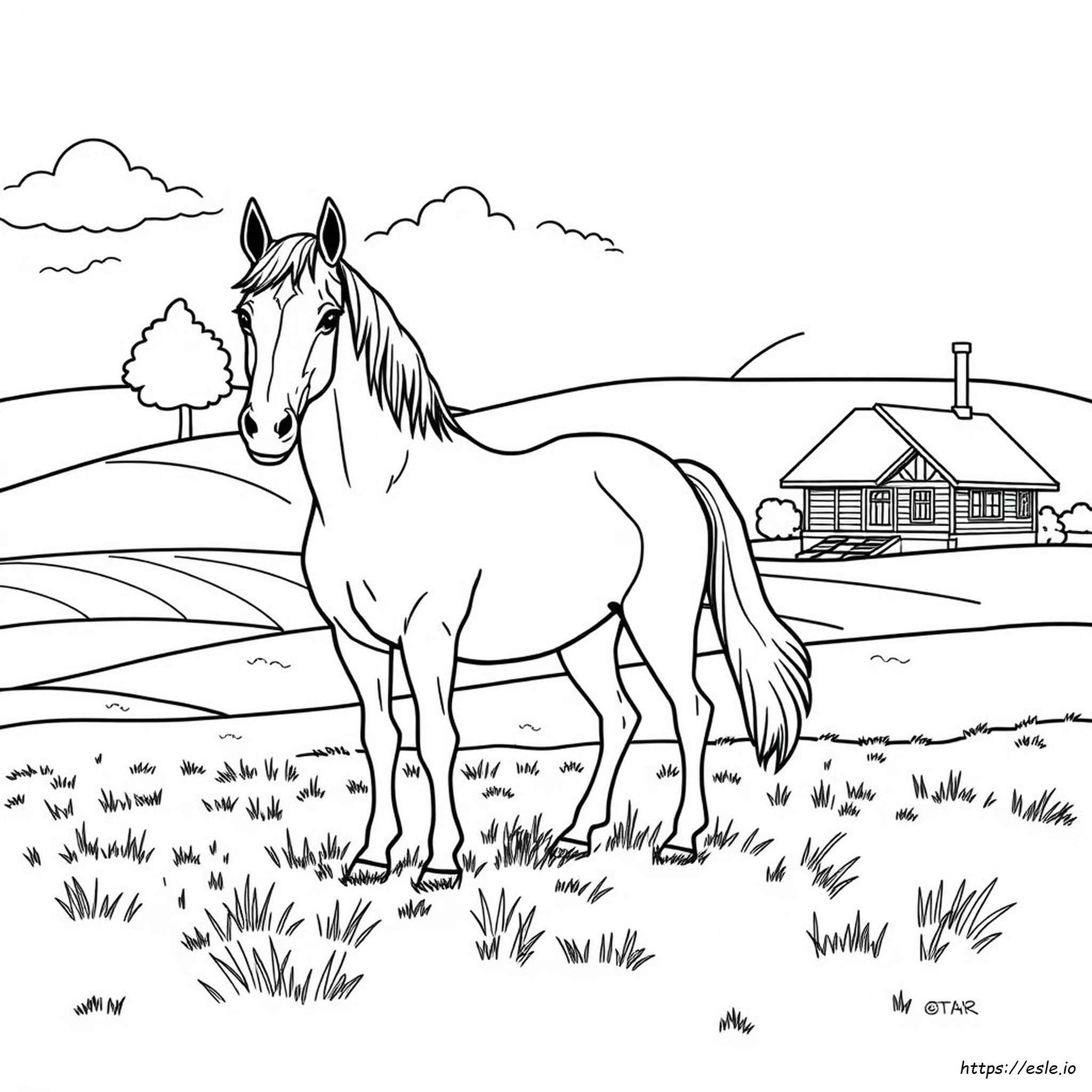 Dibujos De Caballos Para Colorear Que Parecen Reales