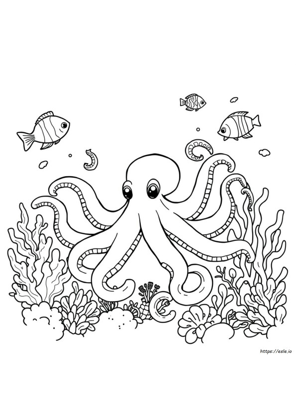 Octopus Colouring