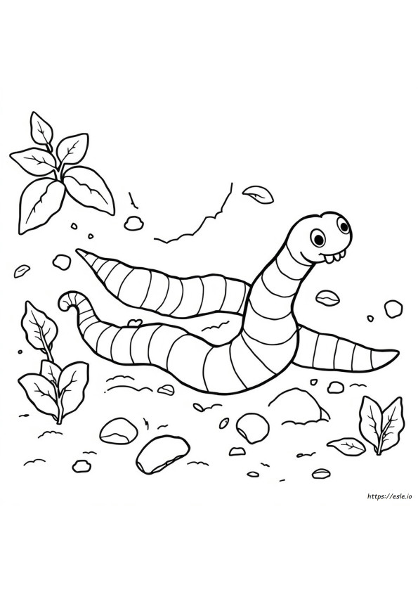 Segmented Worms The Earthworm Coloring Answer Key