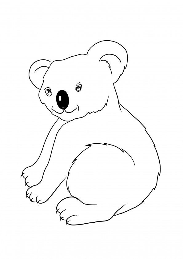Cute Koala for coloring and printable page