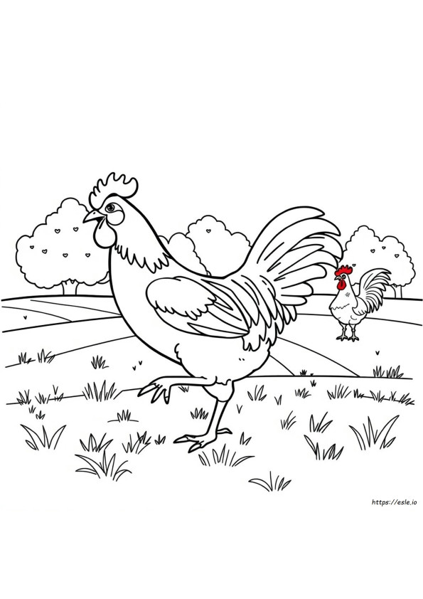 Kickin Chicken Colouring Pages