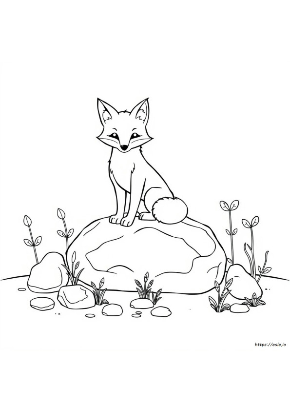 Raposa De Pedra Desenhos Para Colorir