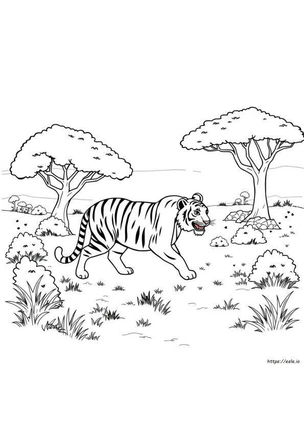 Coloriage Animaux À Imprimer
