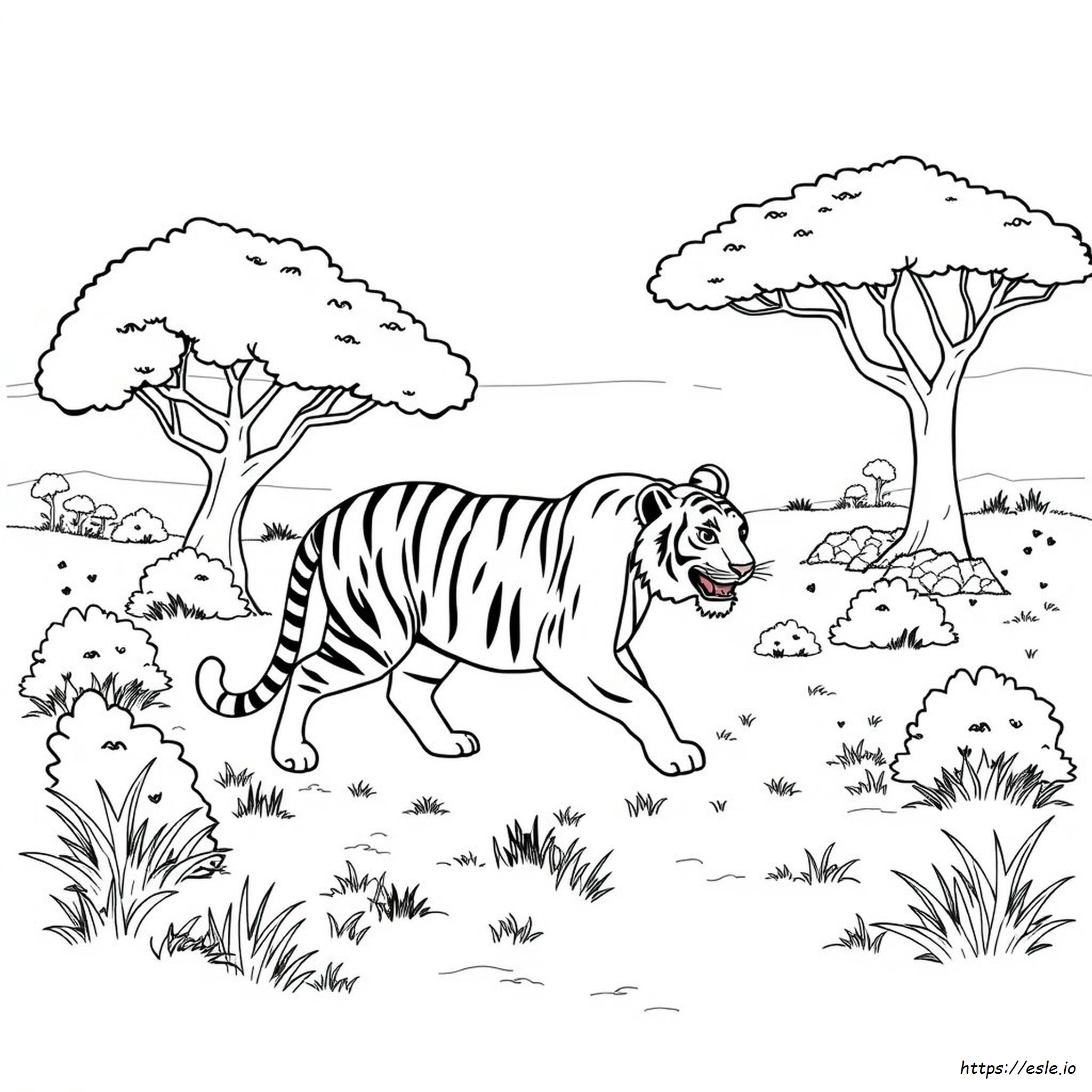 Immagini Di Animali Da Colorare E Stampare