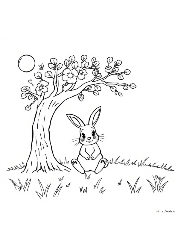Rはうさぎの塗り絵無料