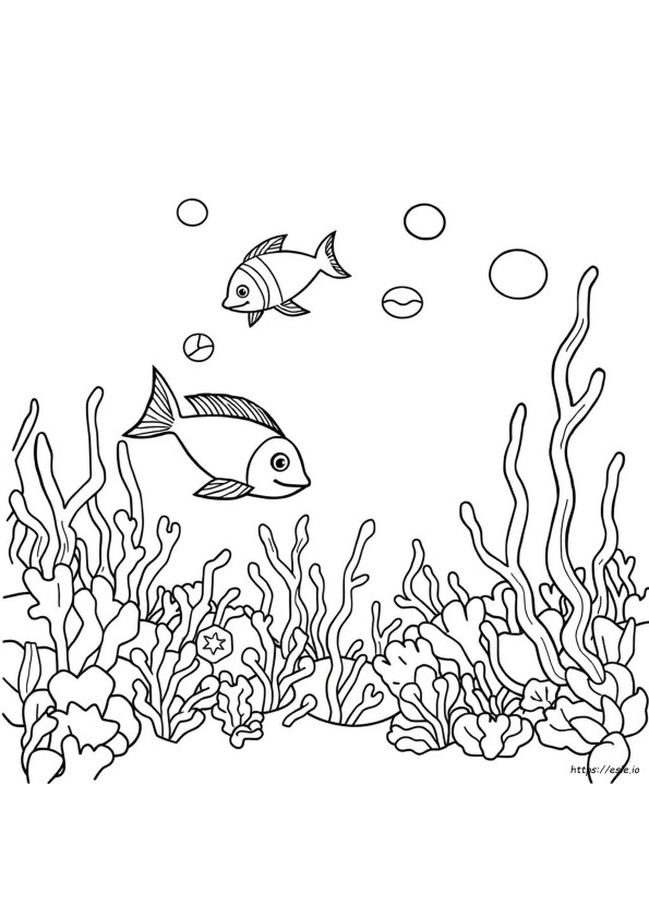 Desene Gratuite De Colorat Cu Creaturi Marine