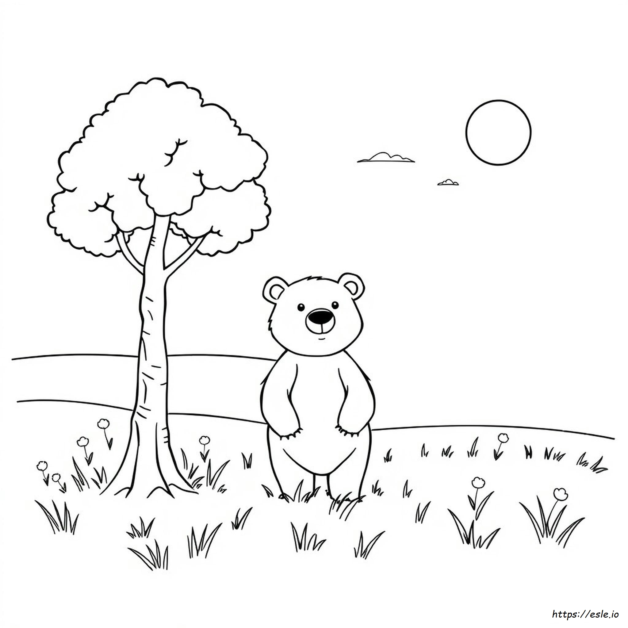 Colouring Picture Of Bear