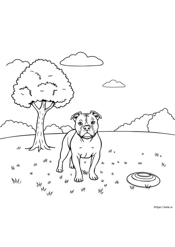 Coloriages De Chien Pitbull À Imprimer