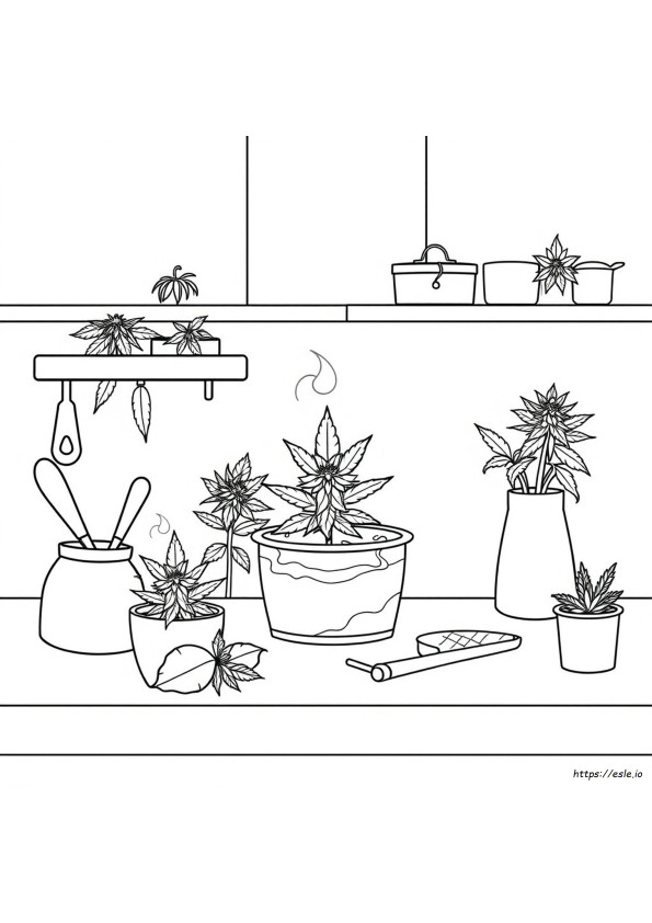 Halaman Gambar Mewarnai Ganja