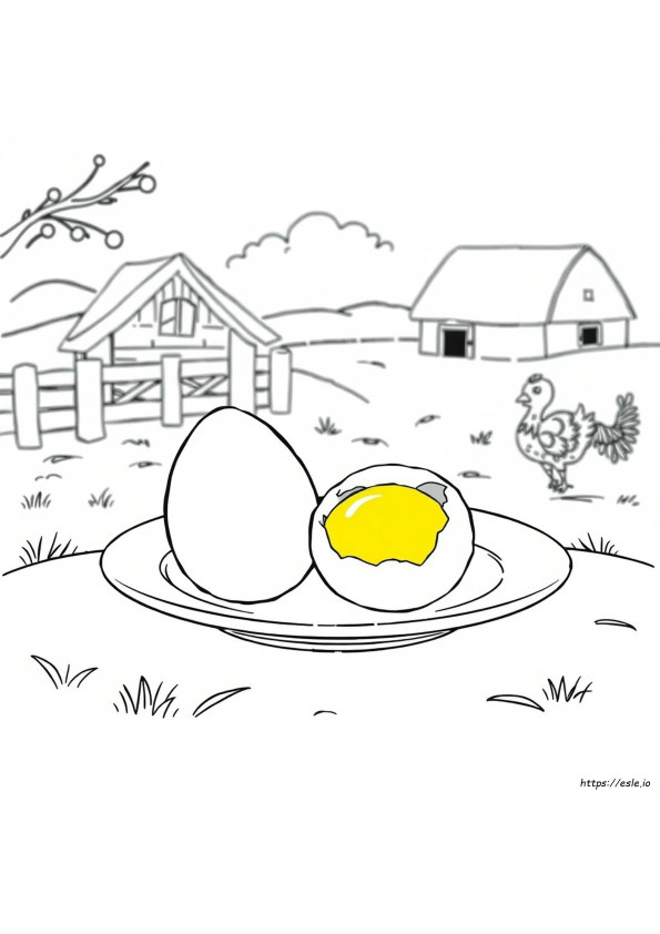 Apa Yang Menyebabkan Warna Kuning Telur