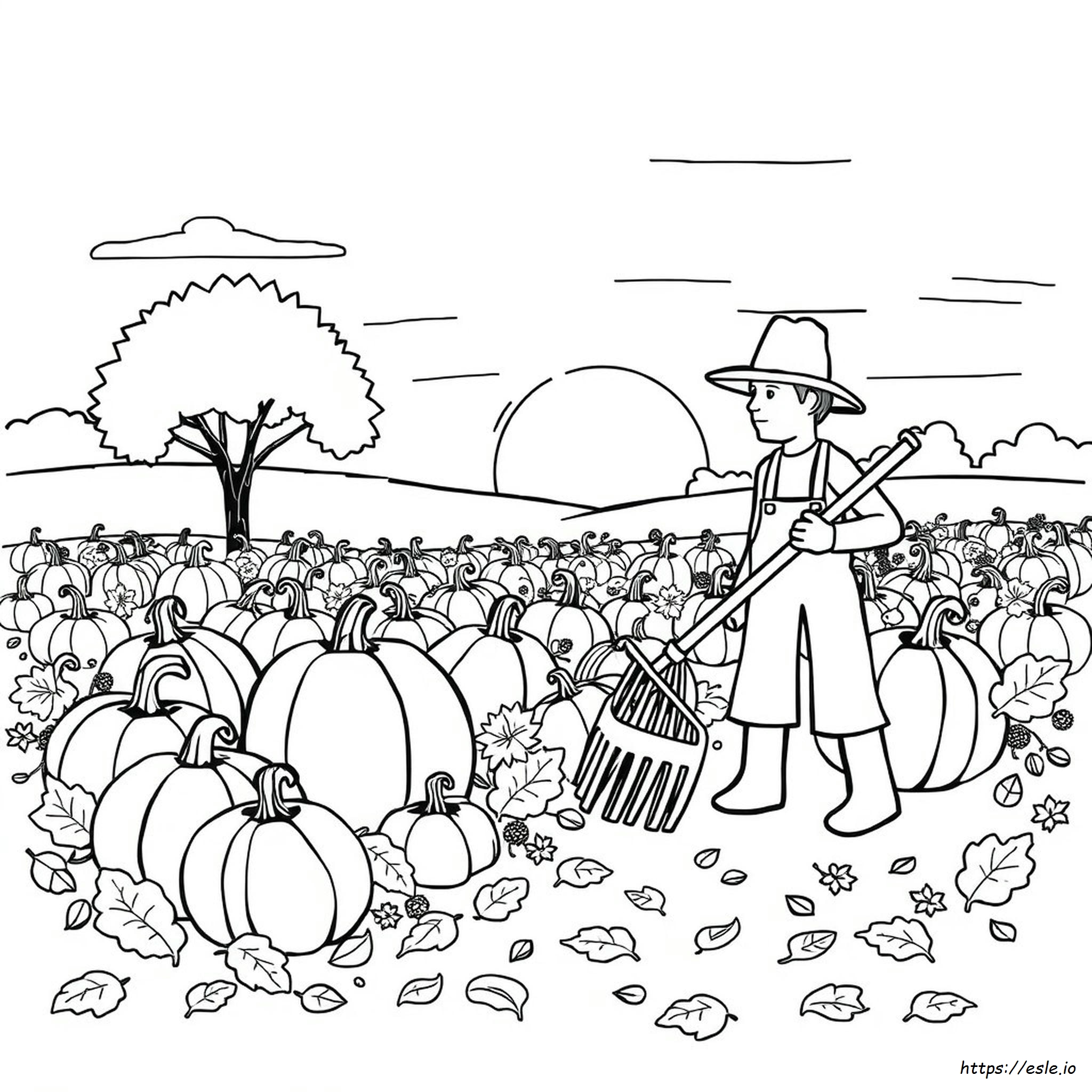 August Themed Coloring Pages