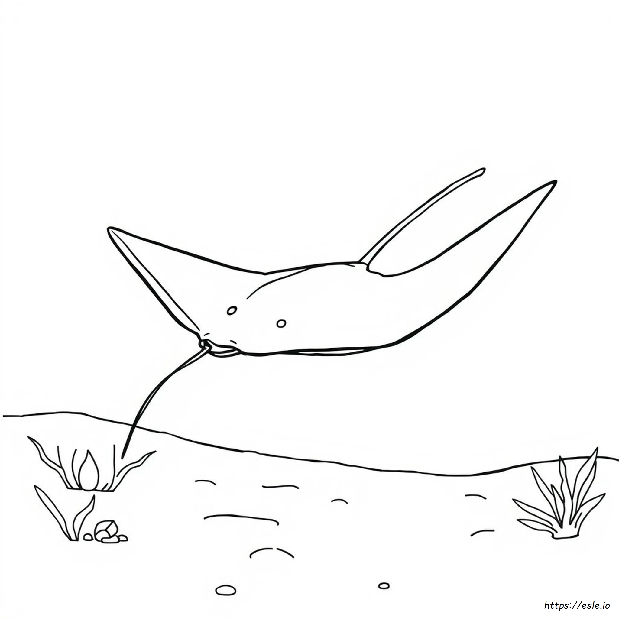 Free Printable Stingray Coloring Pages
