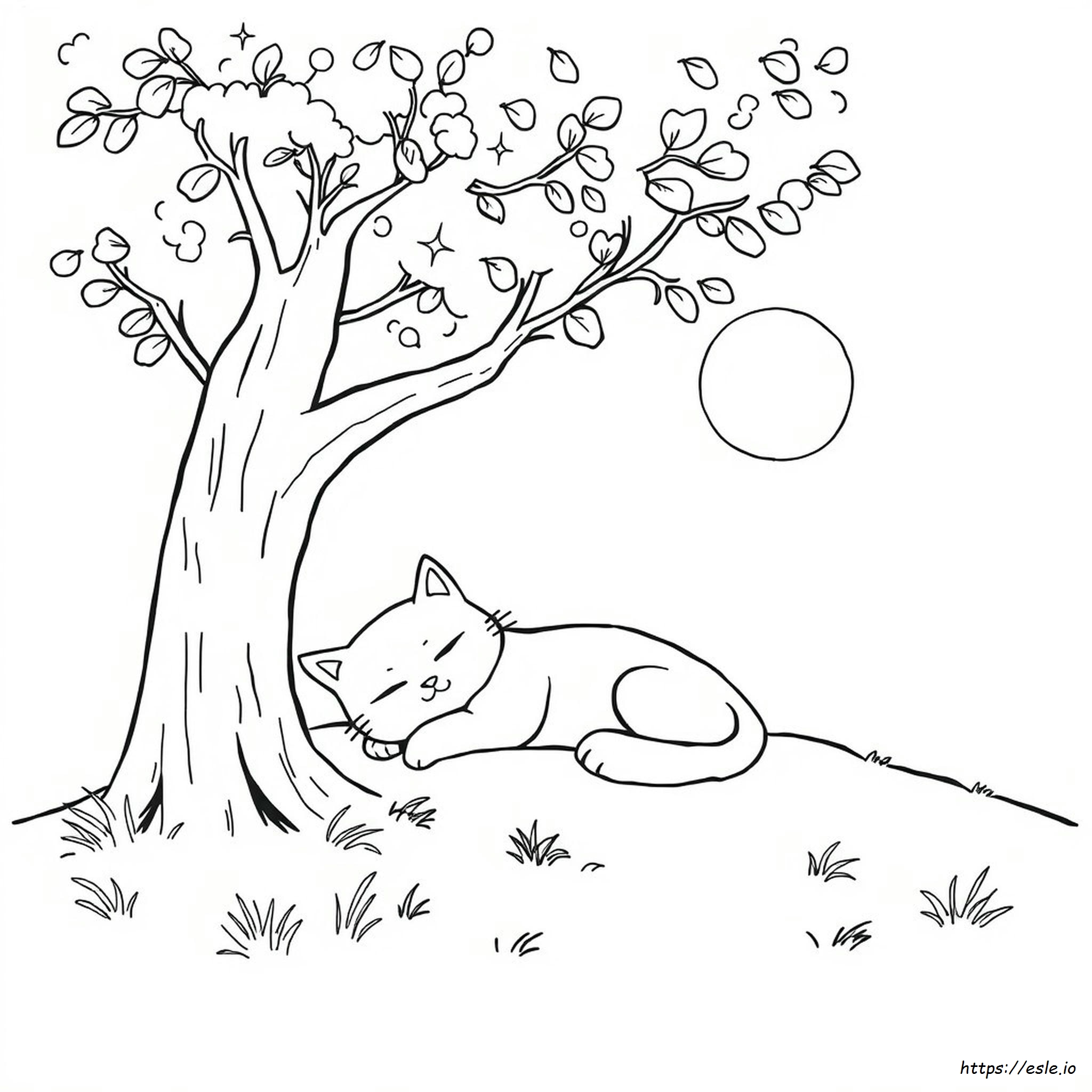 Stress Free Colouring Pages