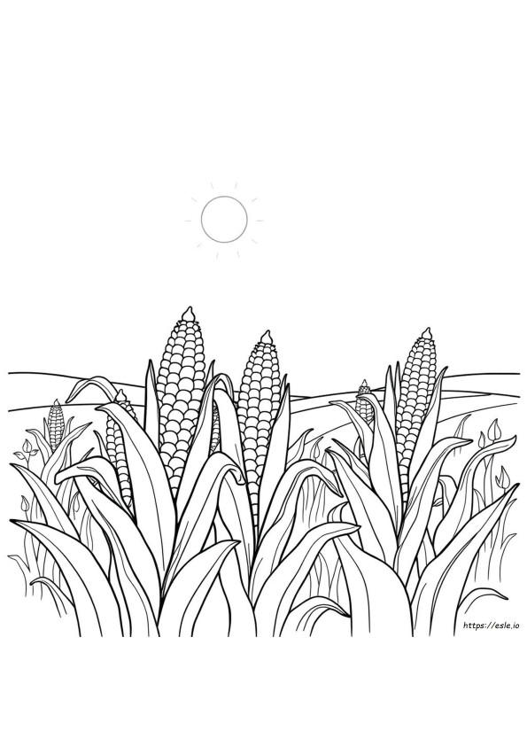 Mewarnai Jagung