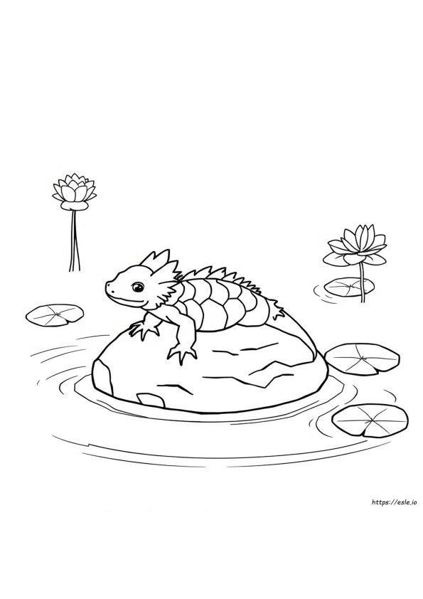 Axolotl Da Colorare