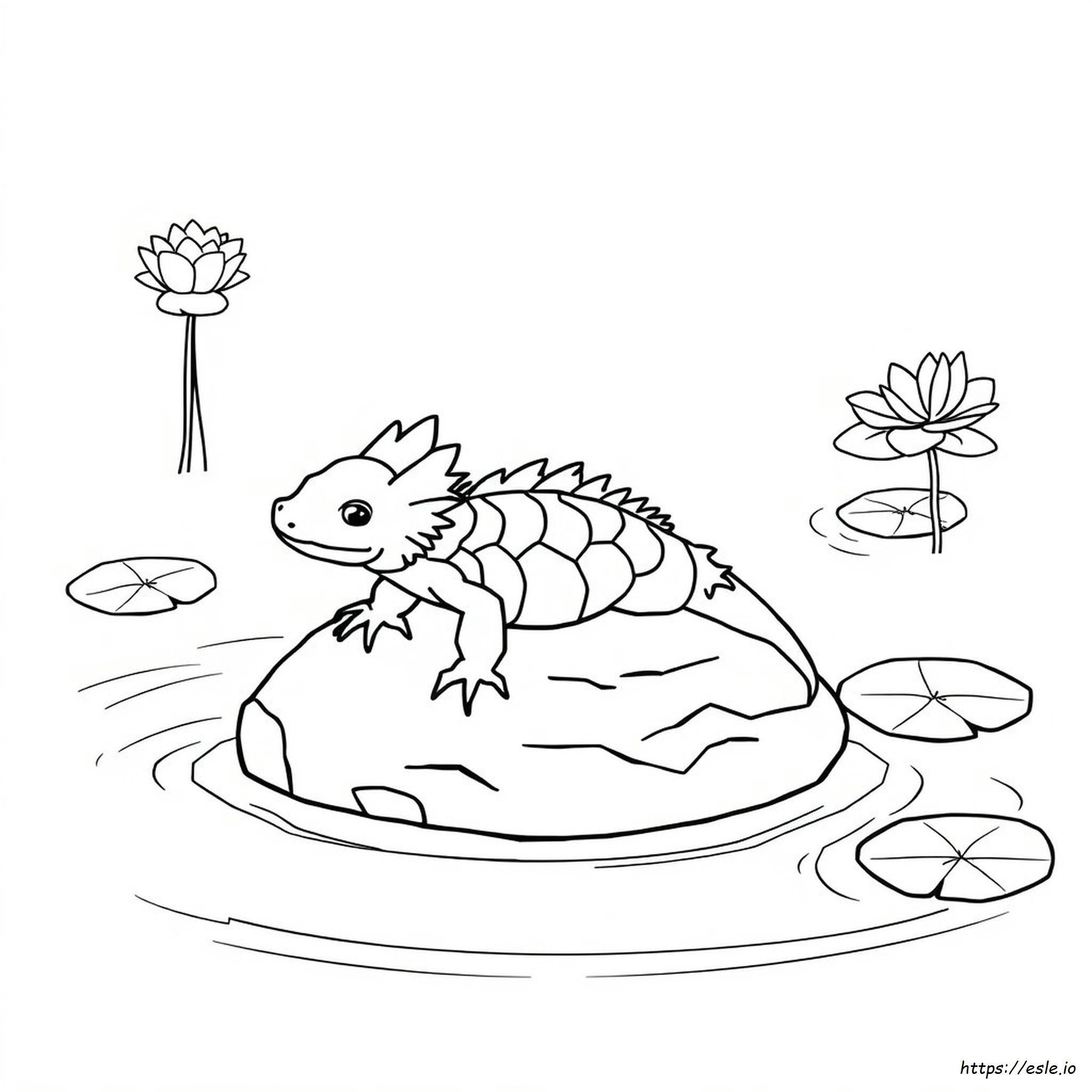 Axolotl Da Colorare