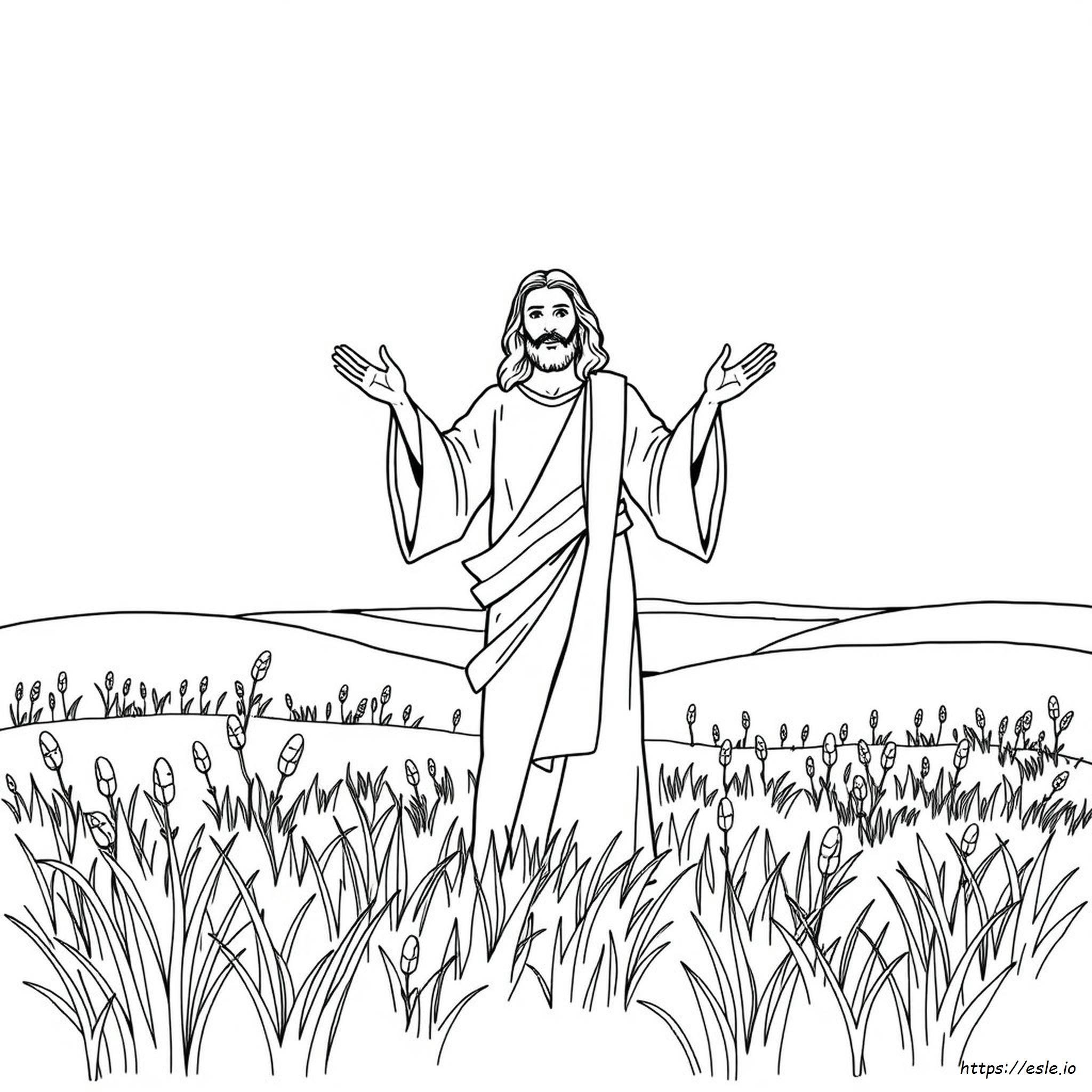 Páginas Para Colorear De Jesús Para Adultos