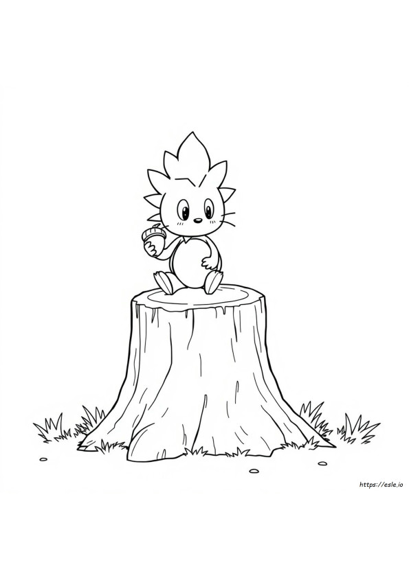 Sonic Head Coloring