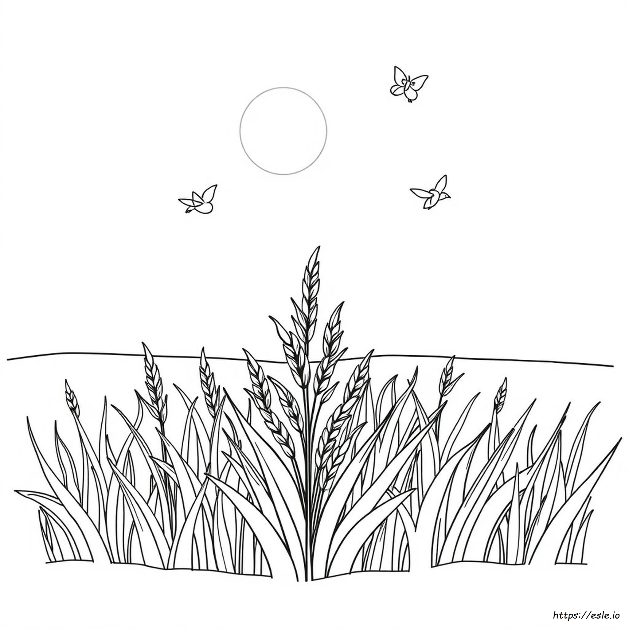 Página Para Colorear De Arroz