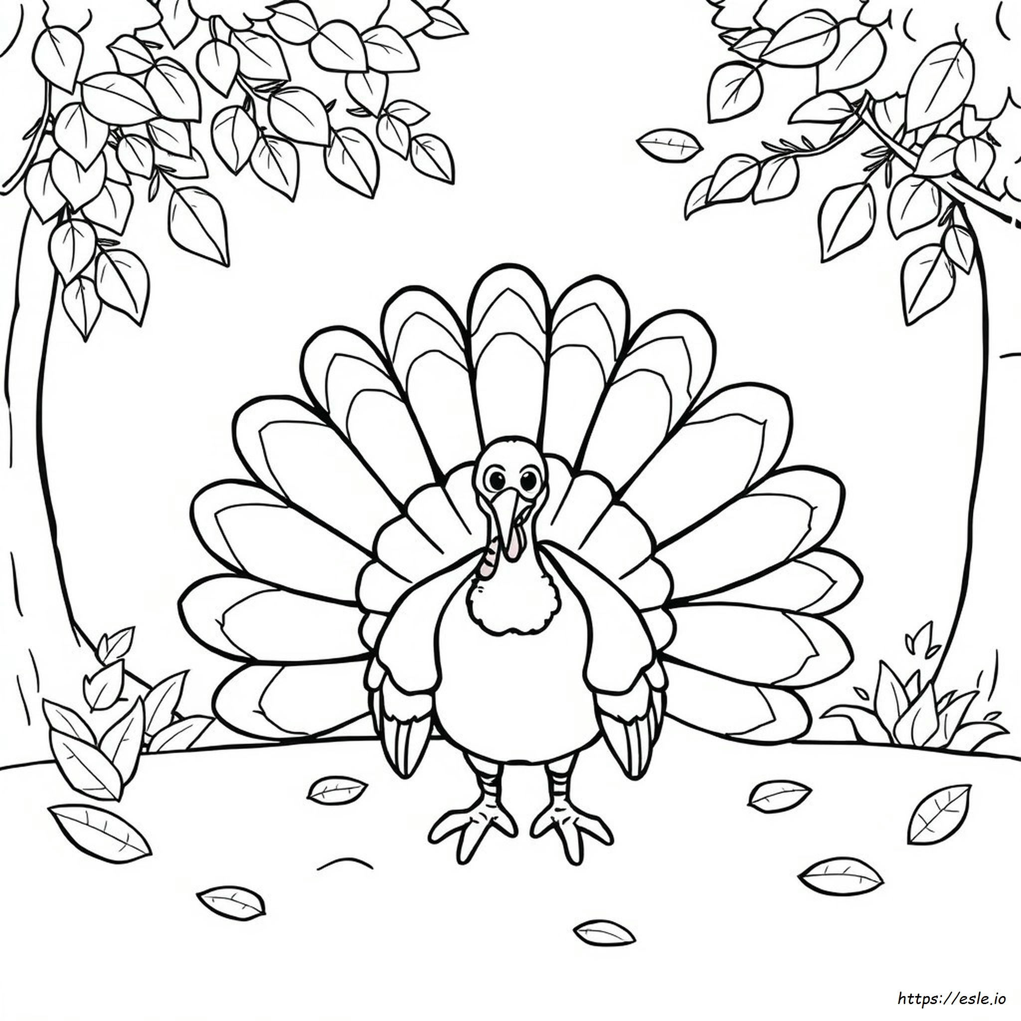 Printable Turkey Feather Coloring Pages