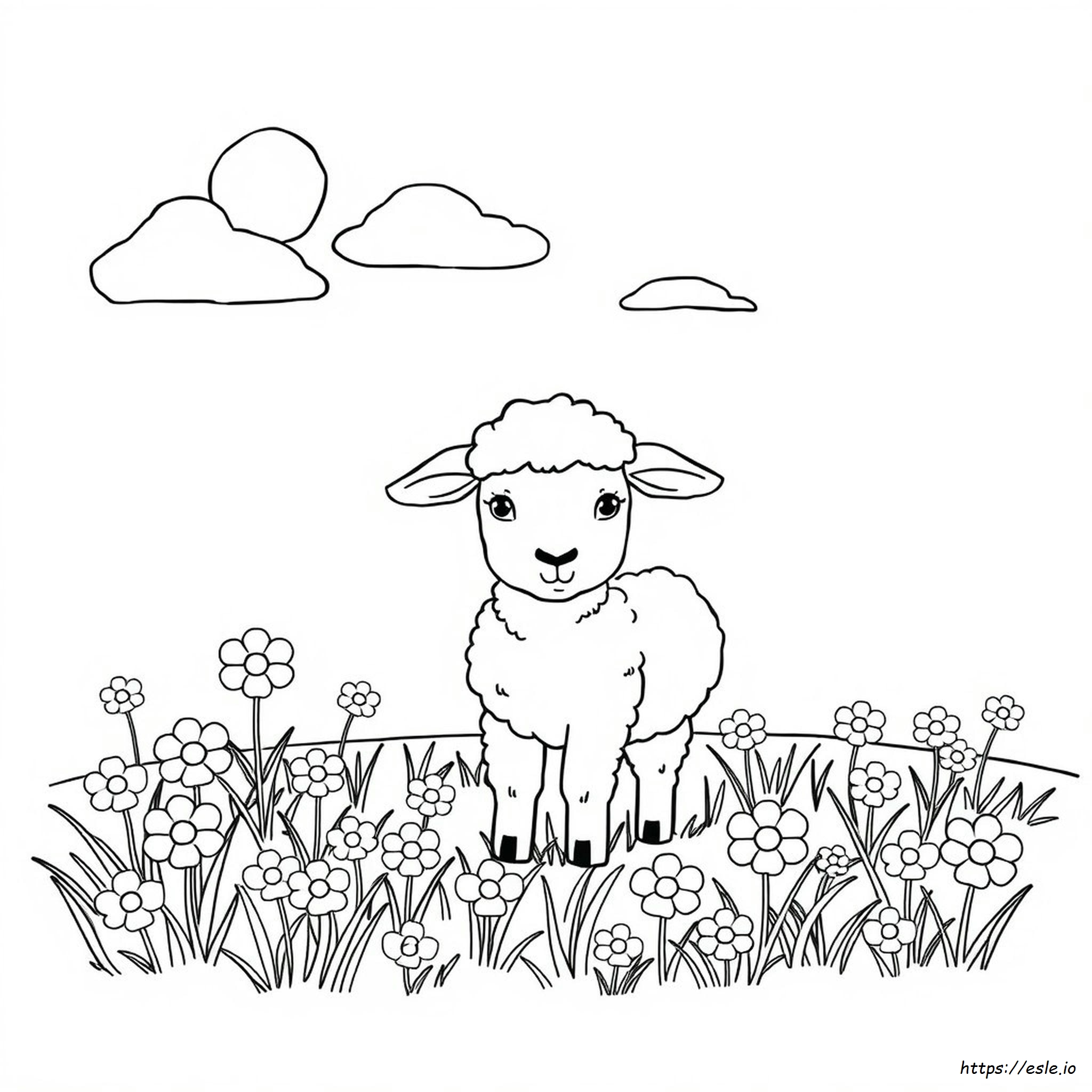 Coloring Page Of A Lamb
