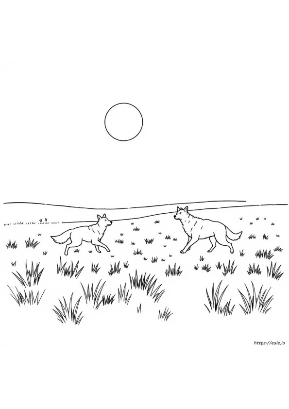 Dingo Värityskuva