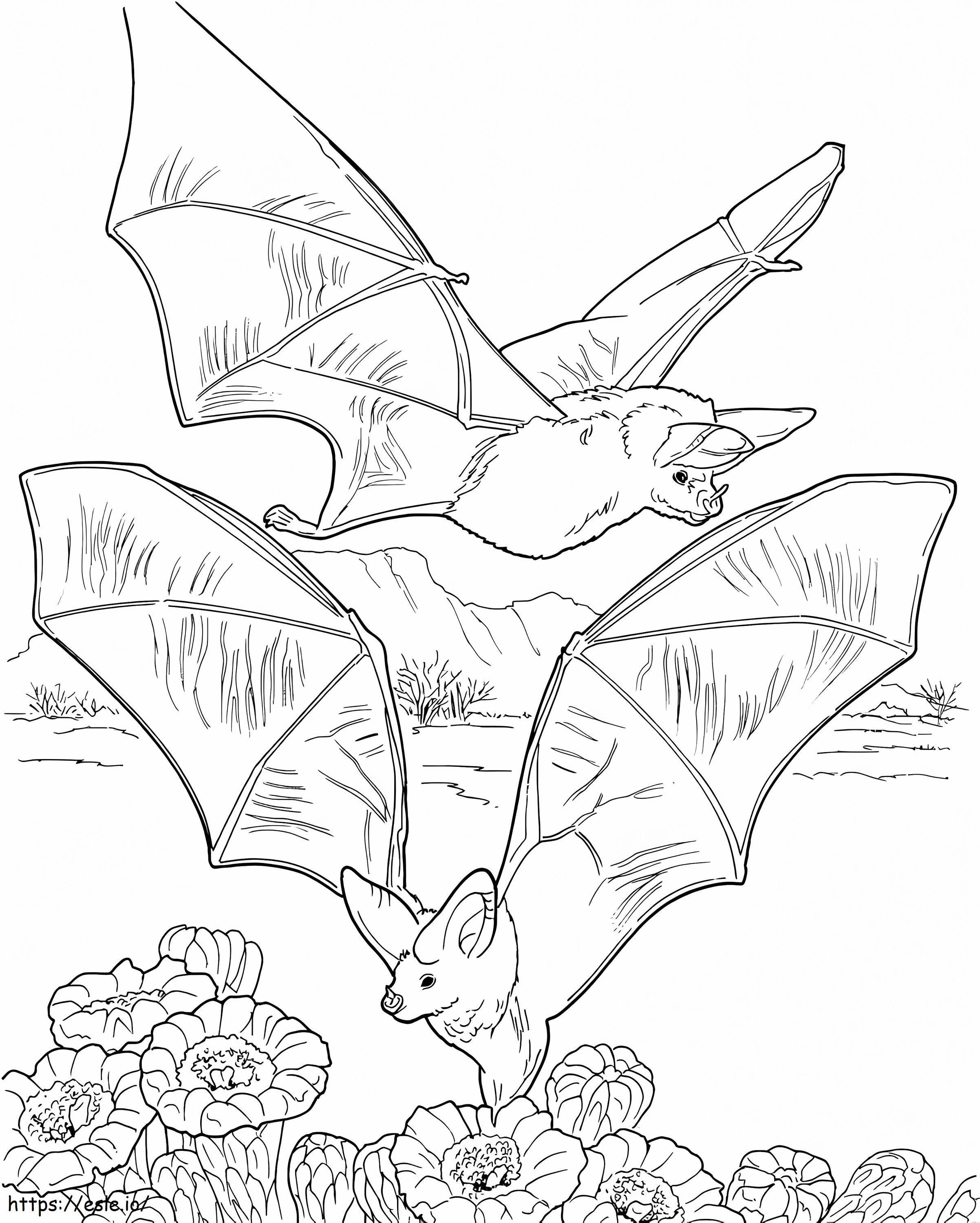 Morcegos coletando néctar para colorir