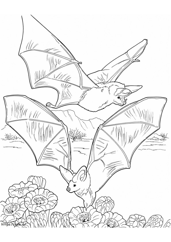 Bats Gathering Nectar coloring page