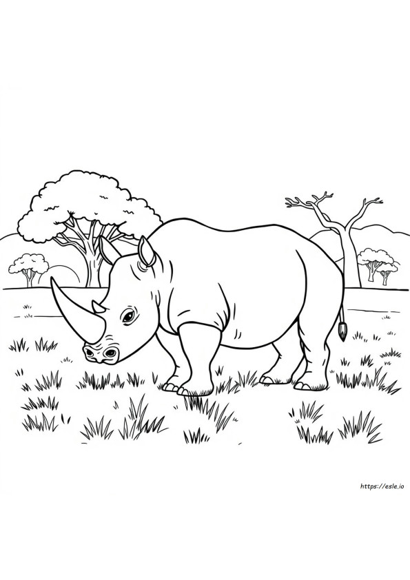 Rhinoceros Coloring