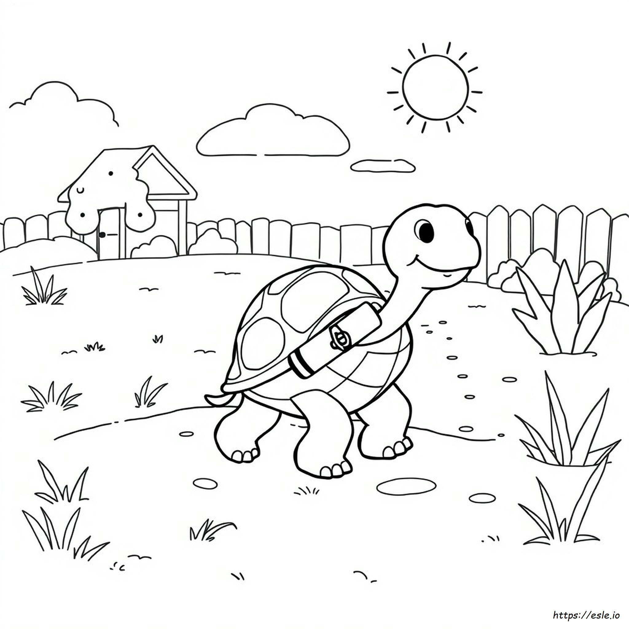 Pagina Da Colorare Tartaruga Per Bambini In Età Prescolare
