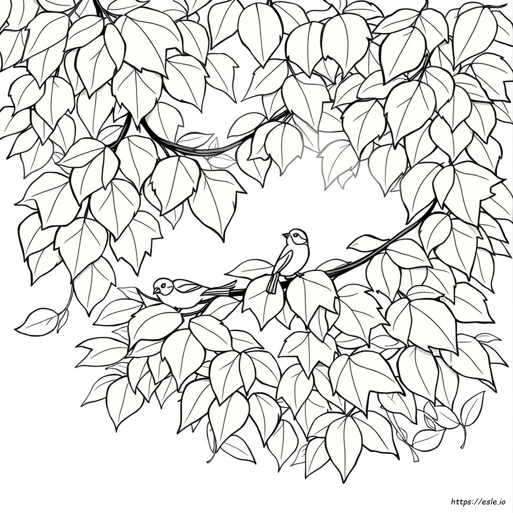 How To Color Leaves With Colored Pencils