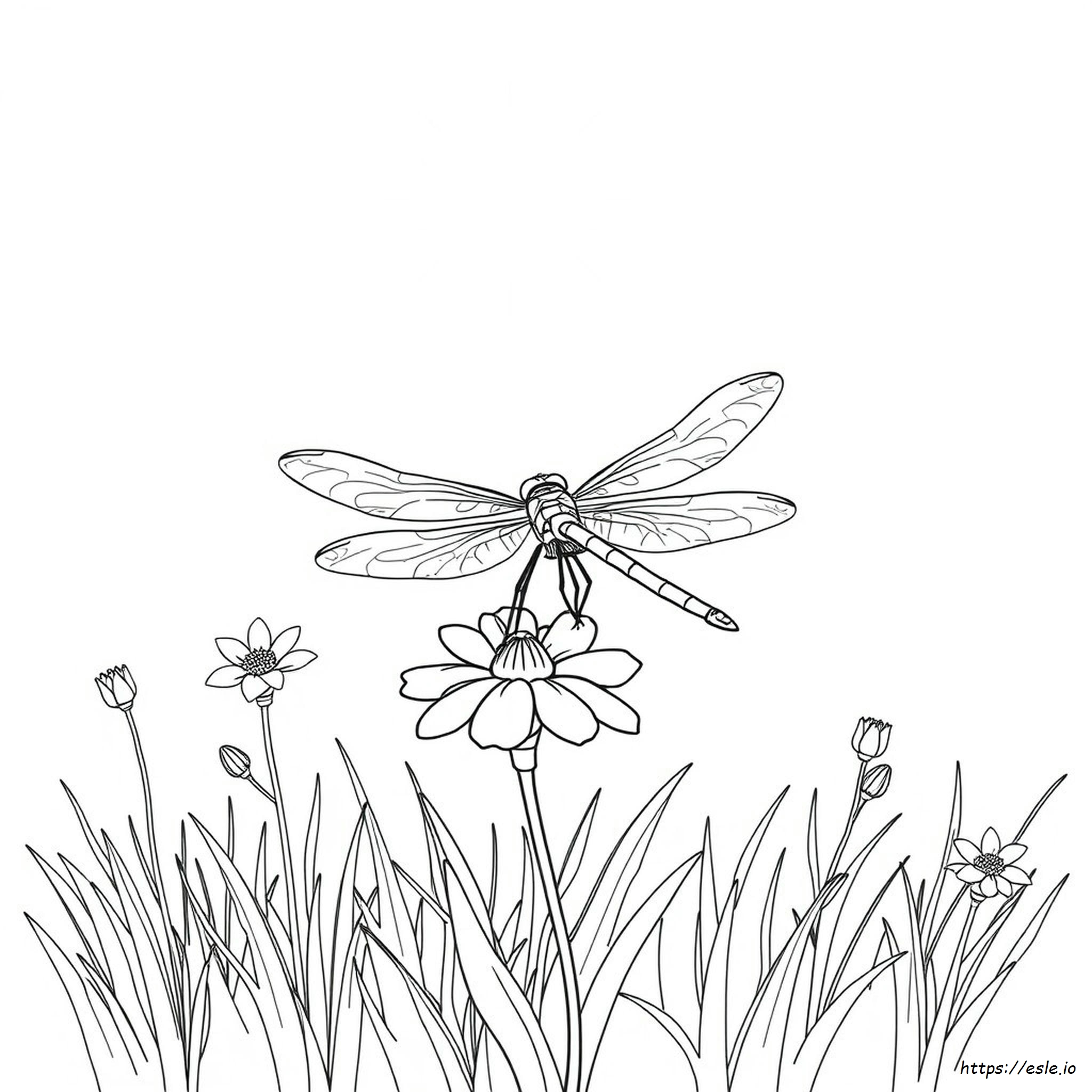 Easy Dragonfly Coloring Page